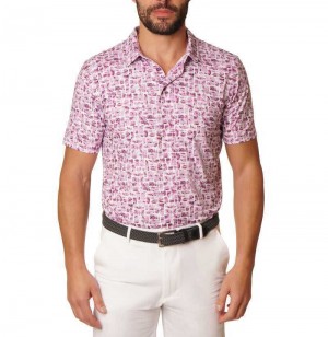 Berry Robert Graham Brockman Polo | 573408YEW
