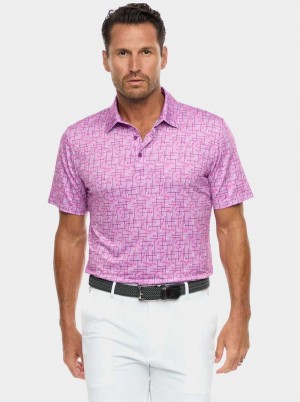 Berry Robert Graham Iron Play Knit Polo | 284715OGC
