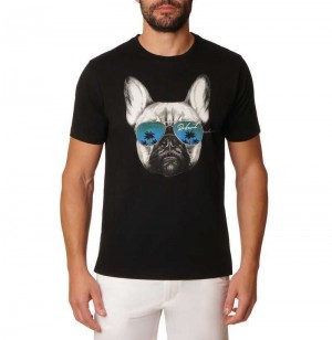 Black Robert Graham Shady Paws T-shirt | 518709TNK