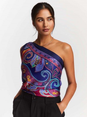 Multi Robert Graham Paisley Swirl Silk Scarf | 437051CGP