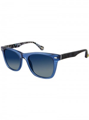 Navy Robert Graham Jarvis Sunglasses | 145762UBG