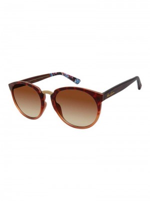 Tortoise Robert Graham Exuma Sunglasses | 953428ACB